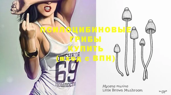 ГАЛЛЮЦИНОГЕННЫЕ ГРИБЫ Слюдянка
