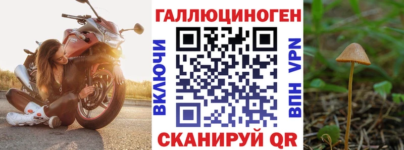 Псилоцибиновые грибы прущие грибы  Бикин 