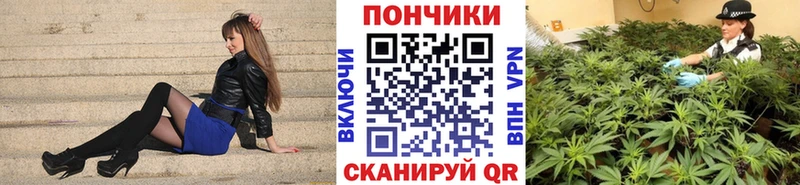 наркошоп Бикин Шишки марихуана Bruce Banner